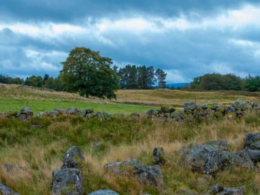 Schottland 010501001