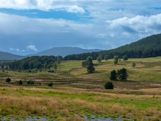 Schottland 010501065