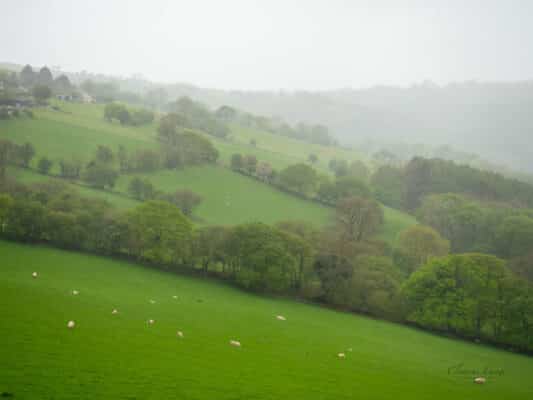 Wales 010601038