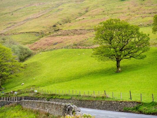 Wales 010601041