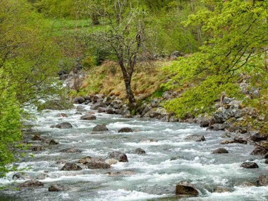 Norwegen 0108022