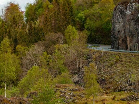 Norwegen 0108039