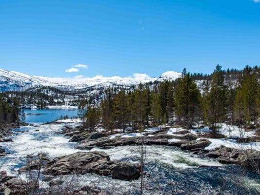 Norwegen 0108047