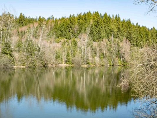 Harz - 0203008