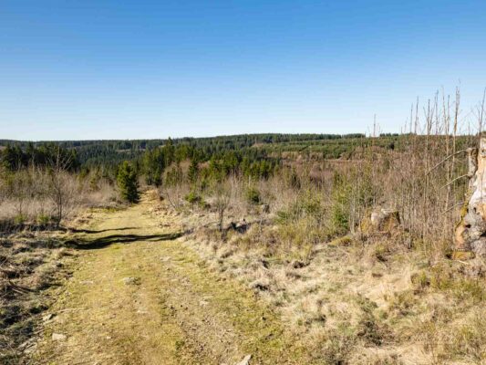 Harz - 0203011