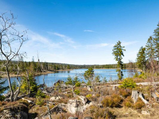 Harz - 0203018
