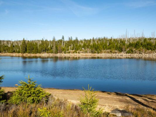 Harz - 0203020