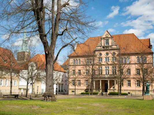 Harz - 0203025