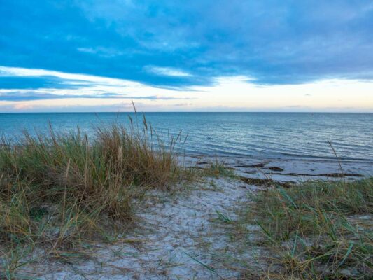 Island 04005