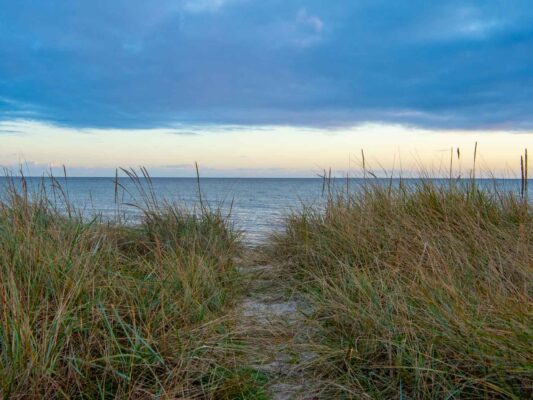 Island 04006