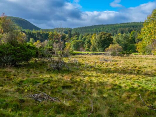 Schottland 05004