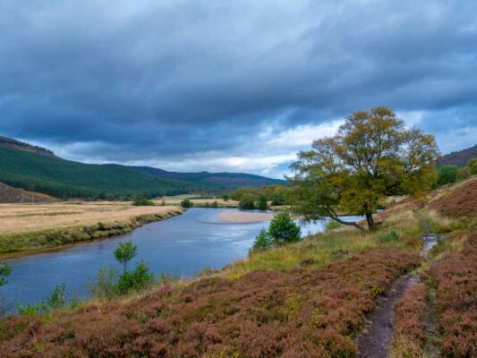 Schottland 05006