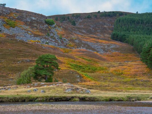 Schottland 05007