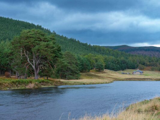 Schottland 05008