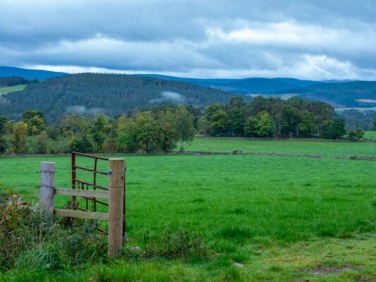 Schottland 05012