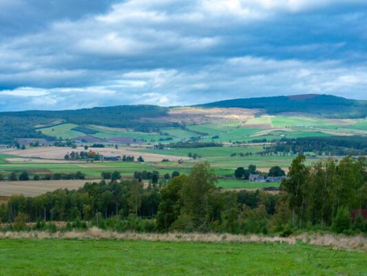 Schottland 05013