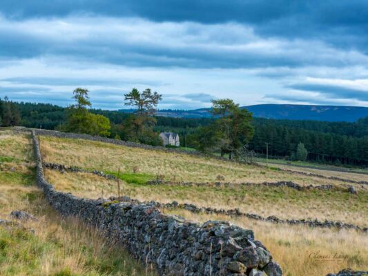 Schottland 05014