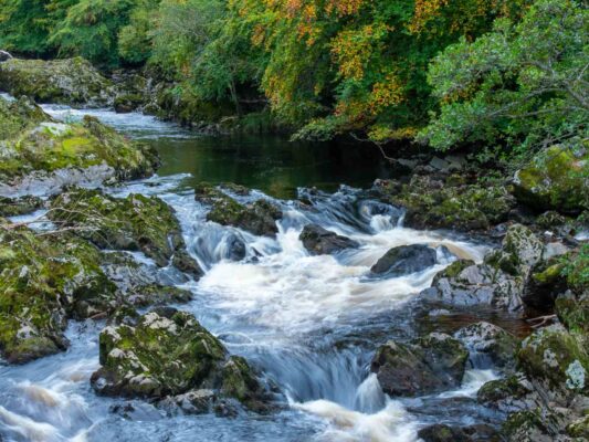 Schottland 05019