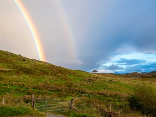 Schottland 05037