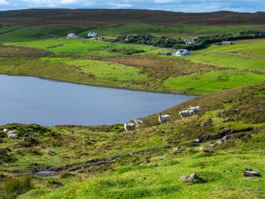 Schottland 05040