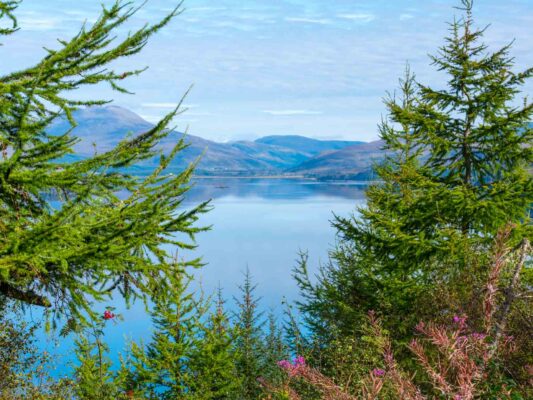 Schottland 05052