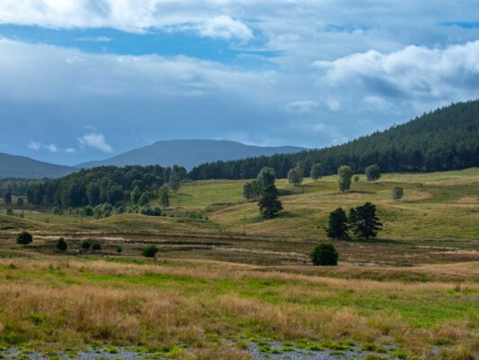 Schottland 05065