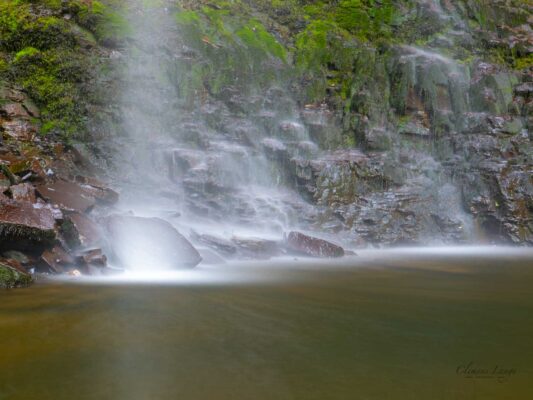 Wales 06010
