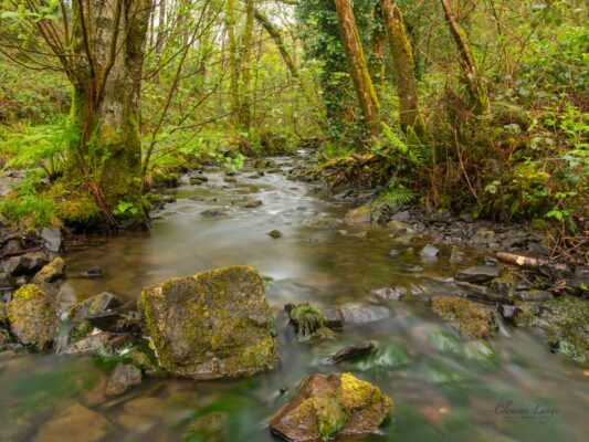 Wales 06022