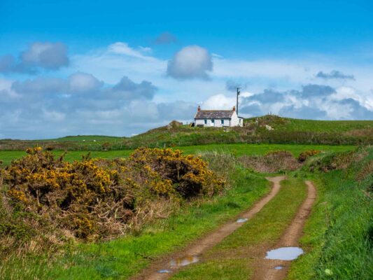 Wales 06029