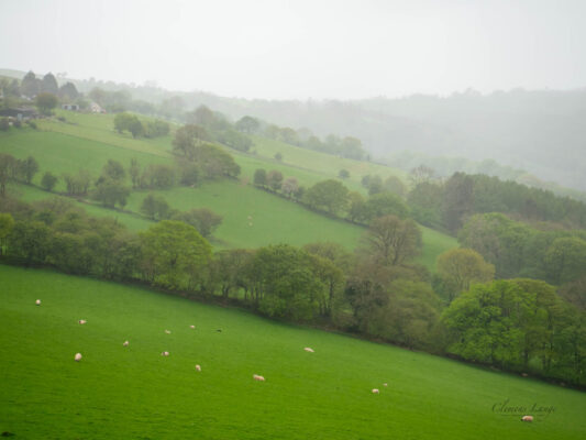 Wales 06038
