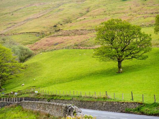 Wales 06041