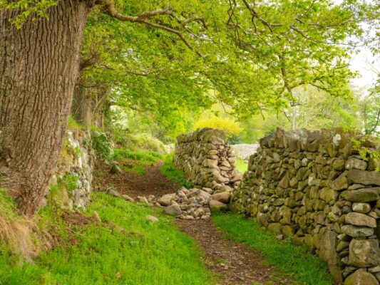 Wales 06060