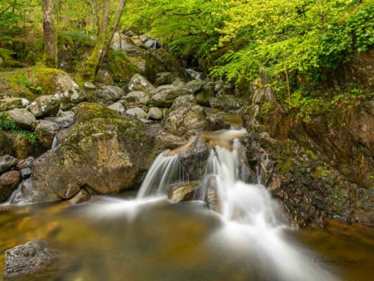 Wales 06062