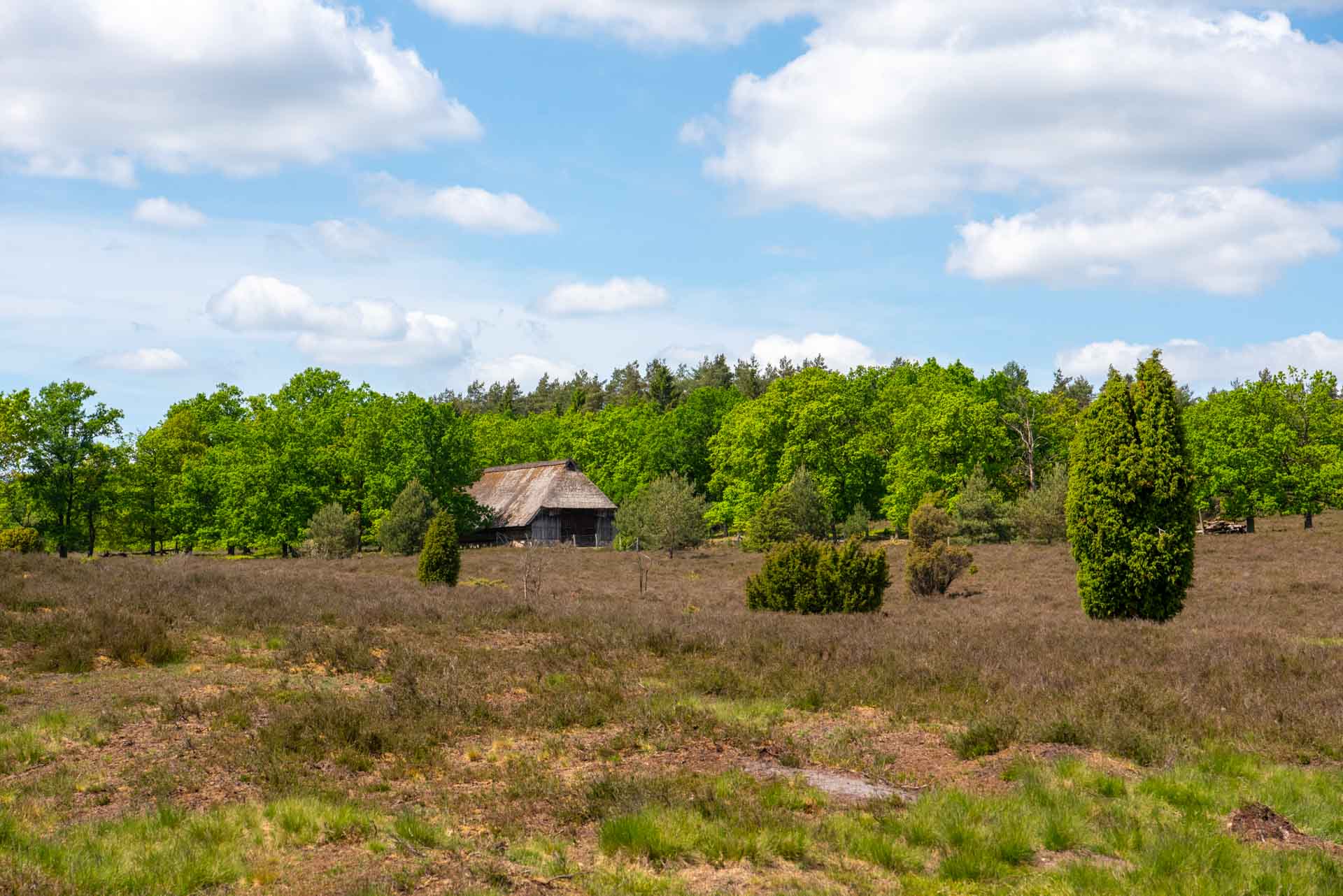 moore und heide