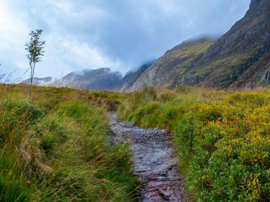 Schottland 900012