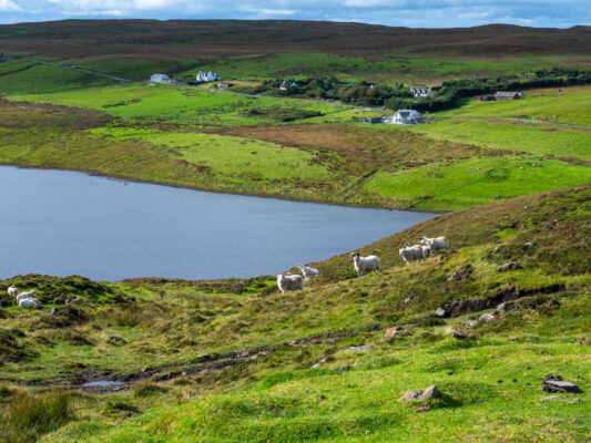 Schottland 900021