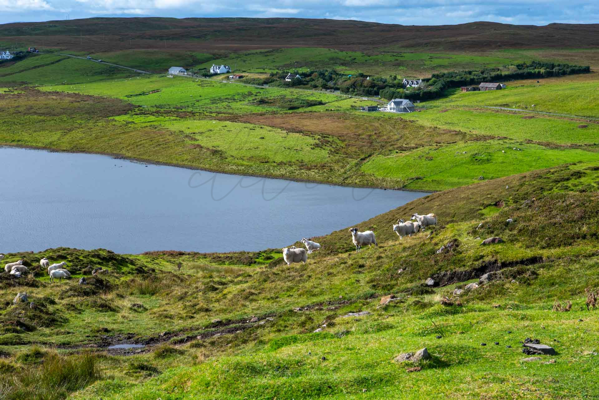 Schottland 900021