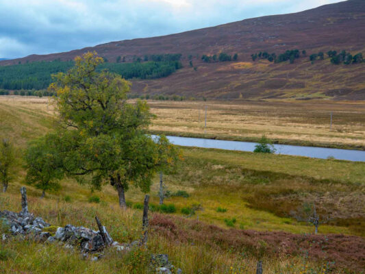 Schottland 900054