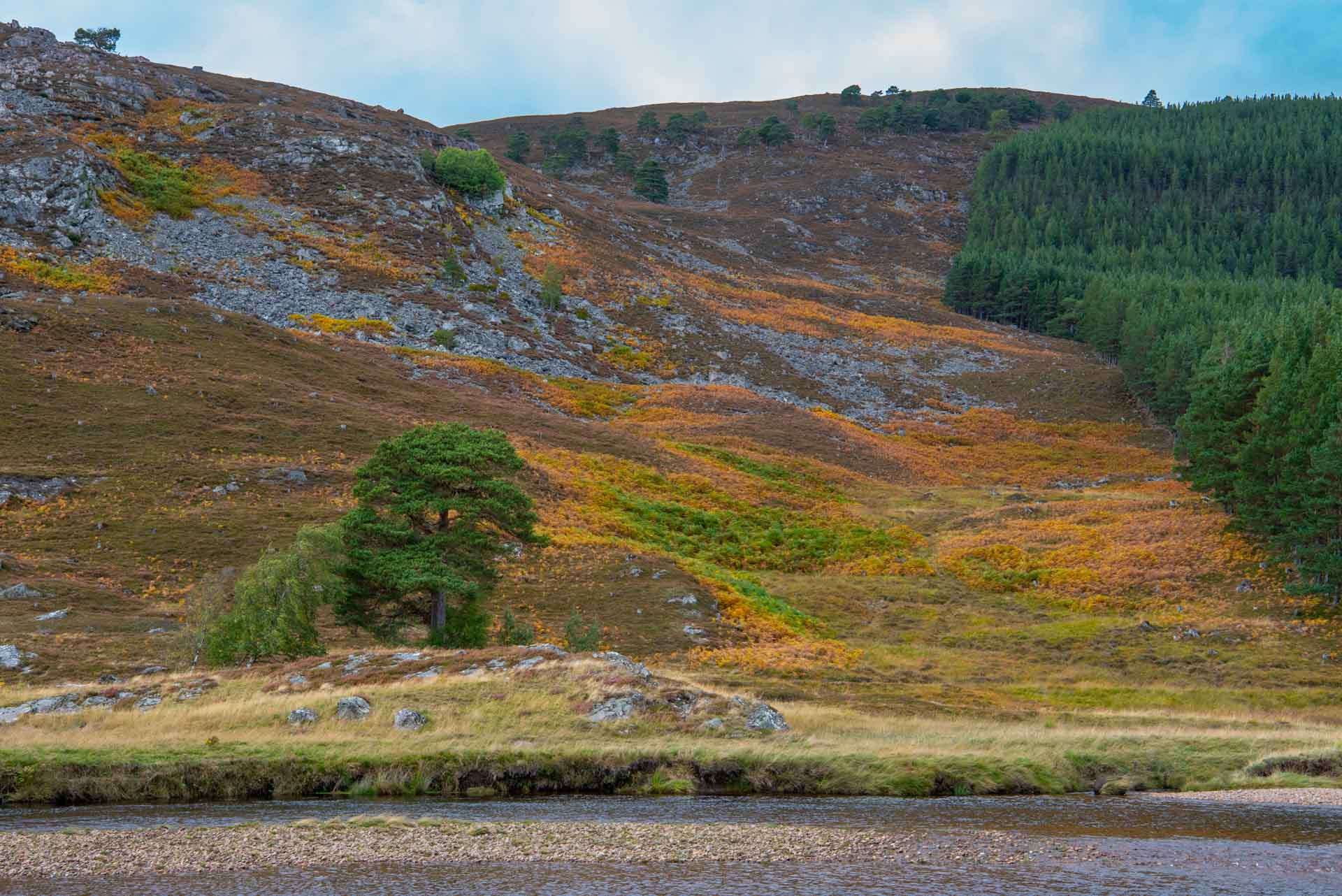 Schottland 900057