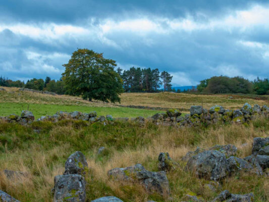 Schottland 900065
