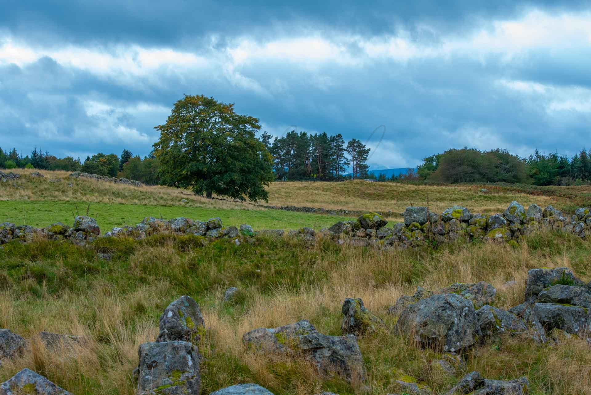 Schottland 900065