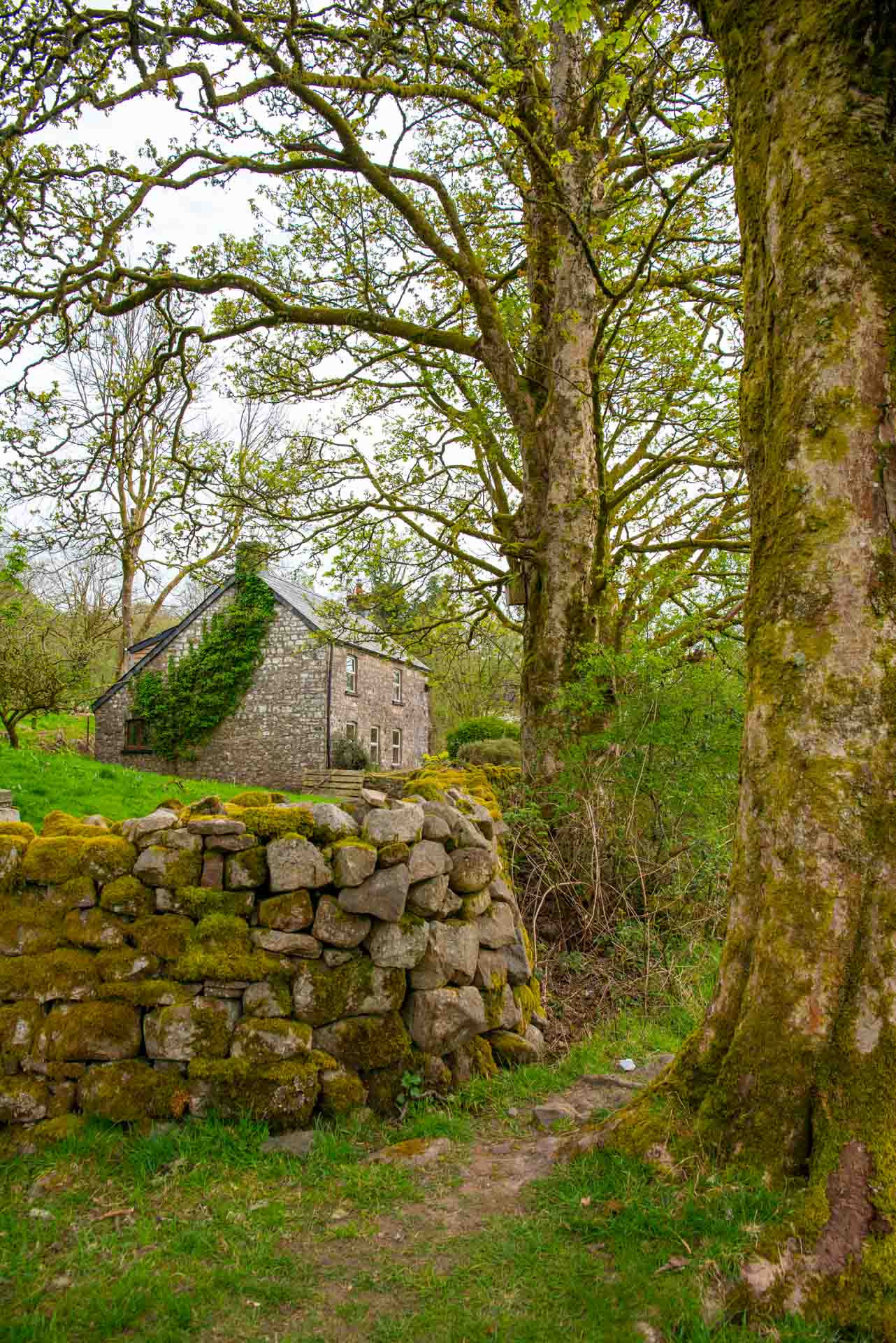 Wales 1100013
