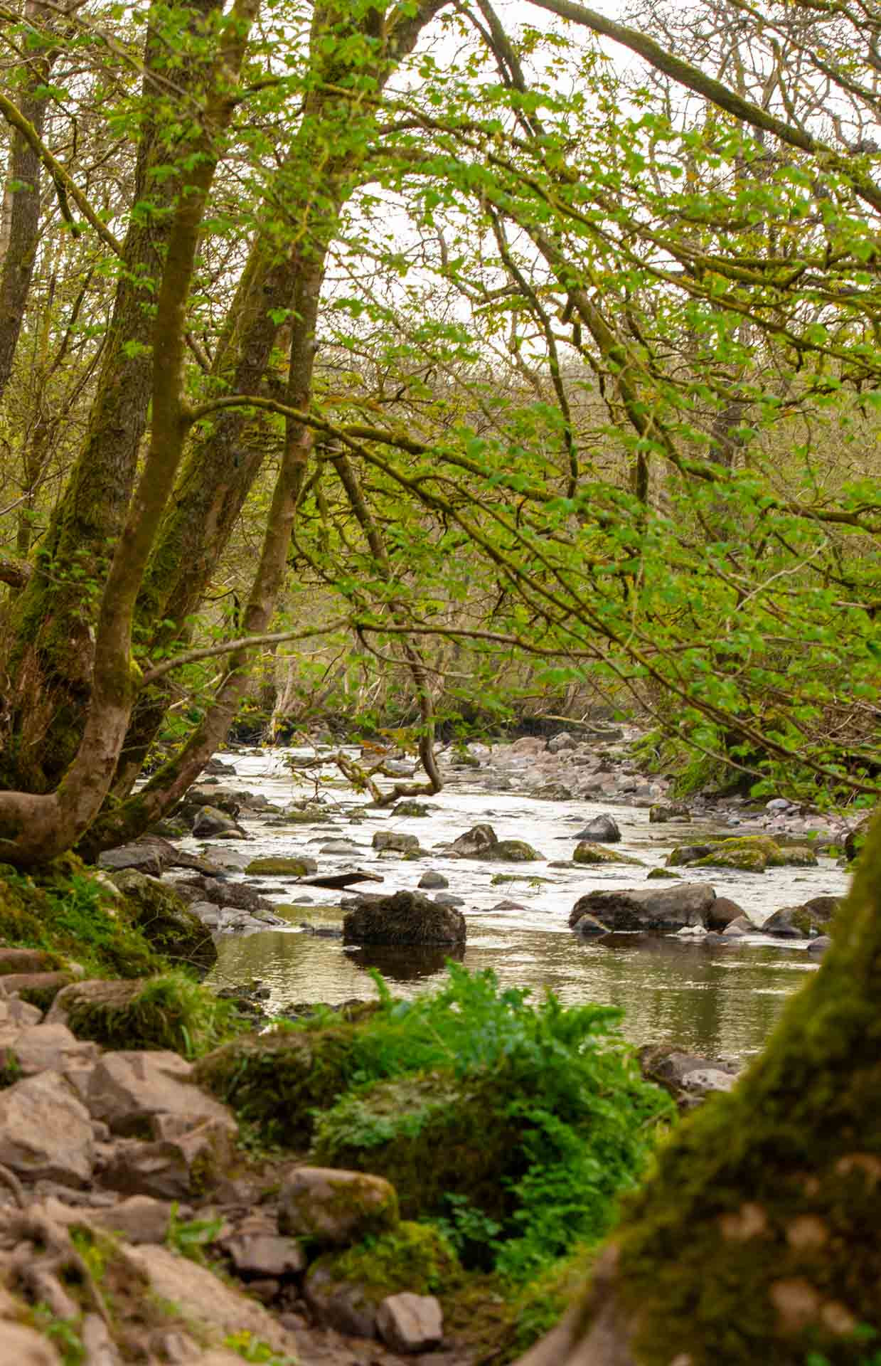 Wales 1100015