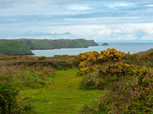 Wales 1100024