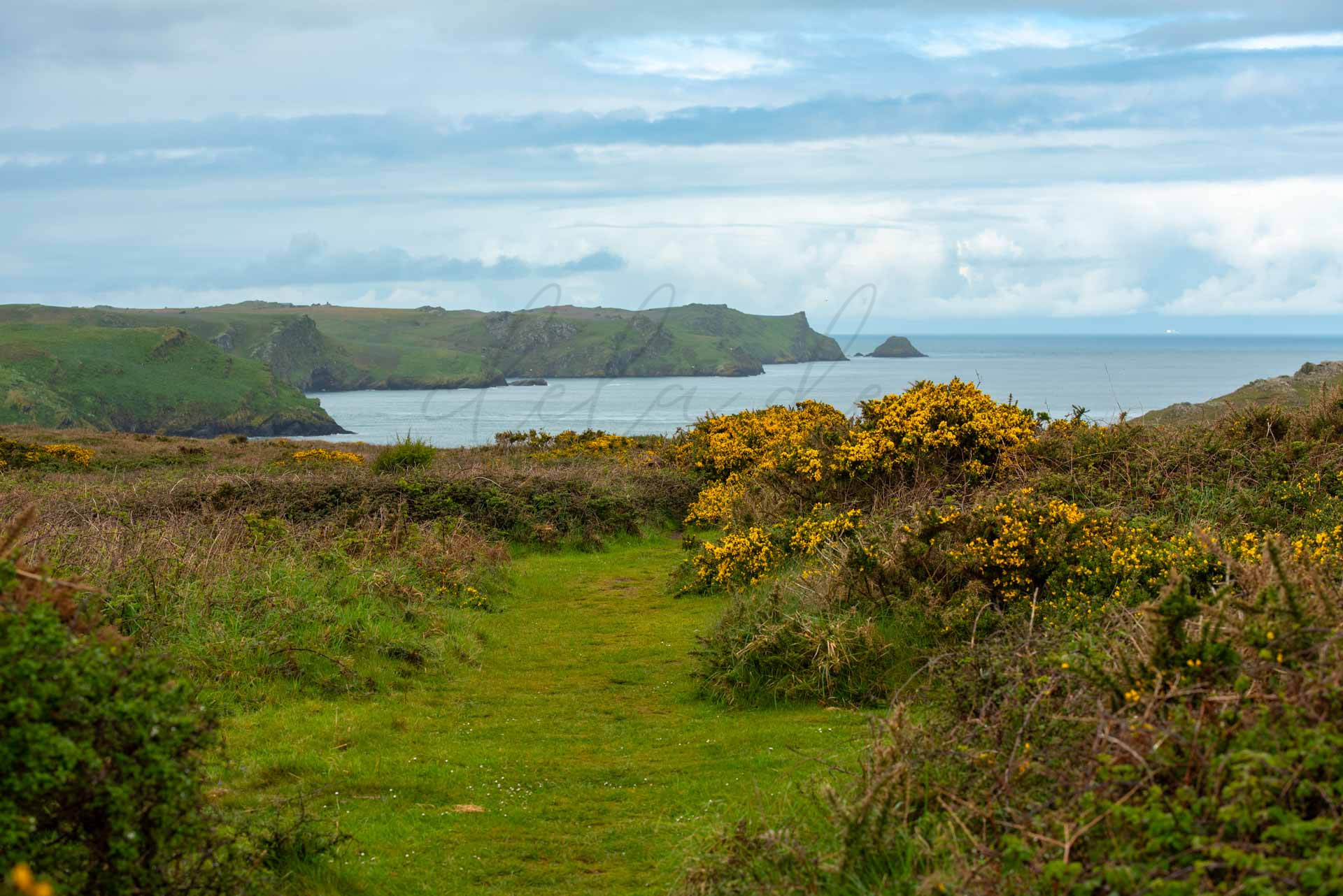 Wales 1100024