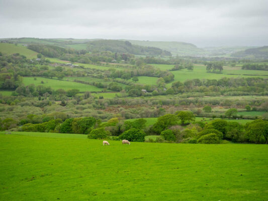 Wales 1100038