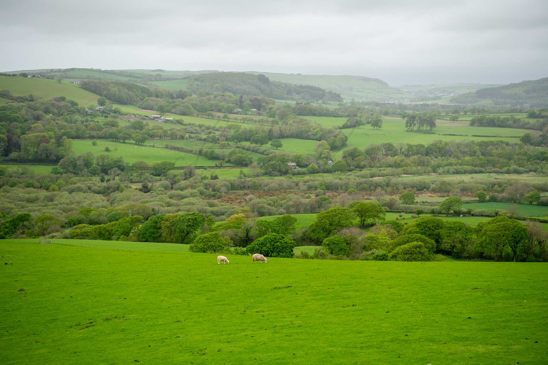 Wales 1100038