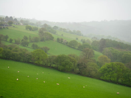 Wales 1100039
