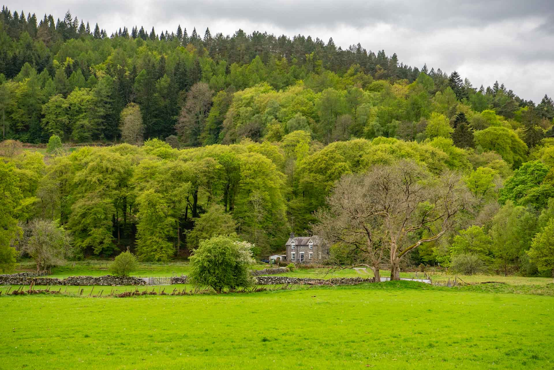 Wales 1100056