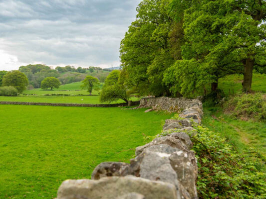 Wales 1100065